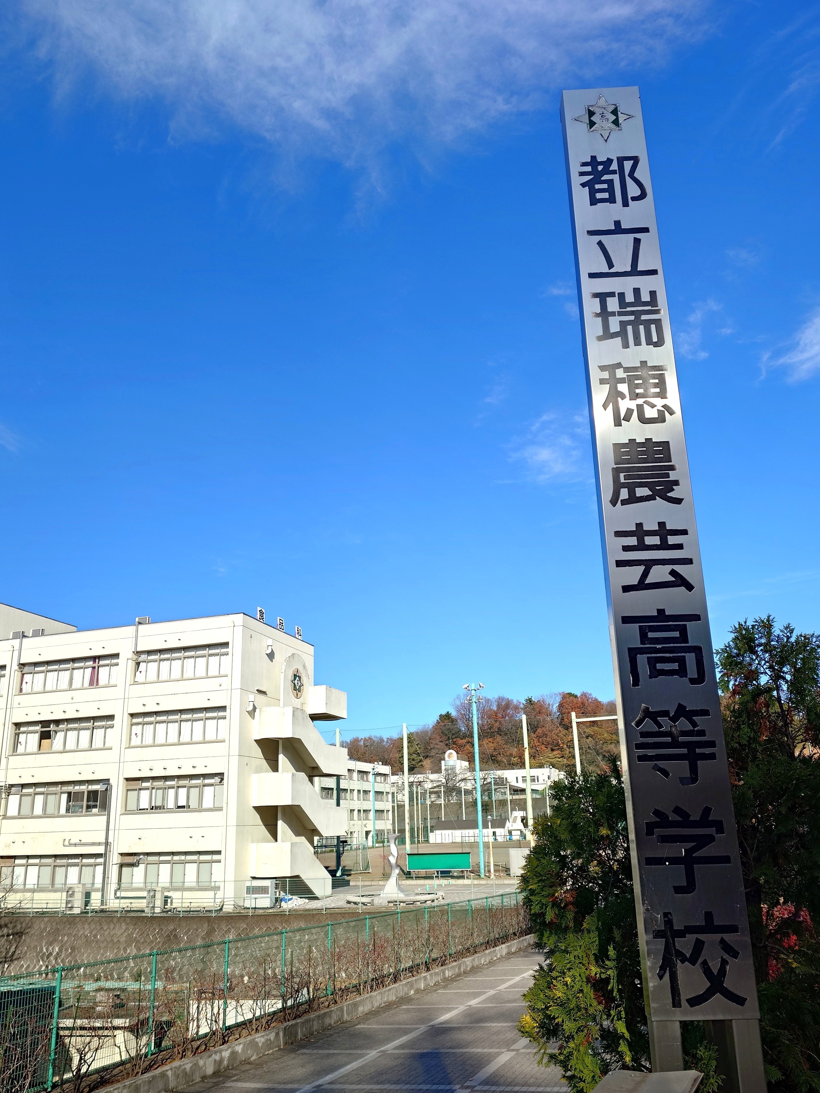 活動内容の写真